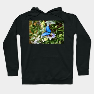 Schmetterling Morphofalter / Swiss Artwork Photography Hoodie